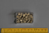 F 09939
<br/>
<br/>
<em></em>